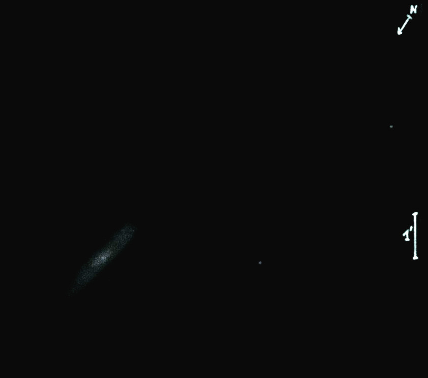 NGC4206obs6705.jpg