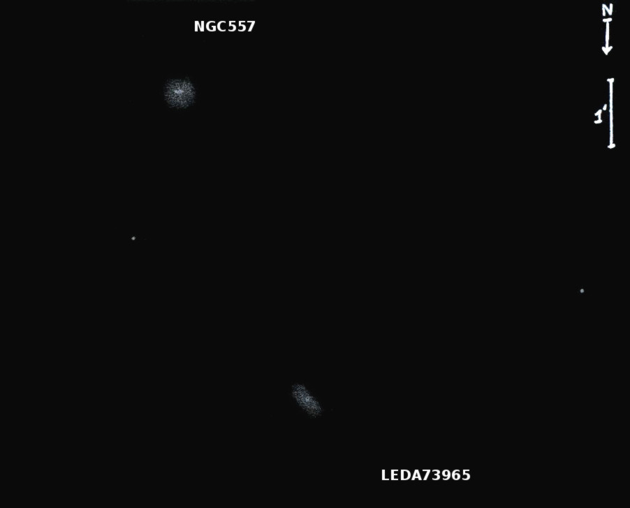 NGC557obs7887.jpg