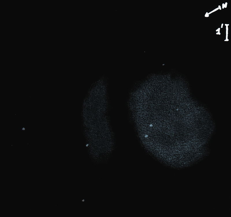 M78_NGC2067obs10288.jpg