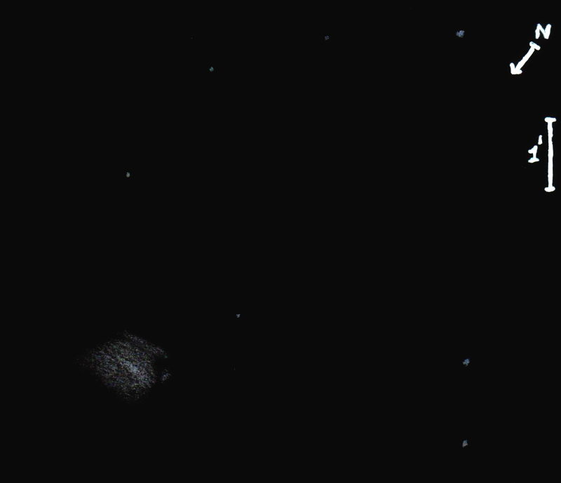NGC1834obs10323.jpg