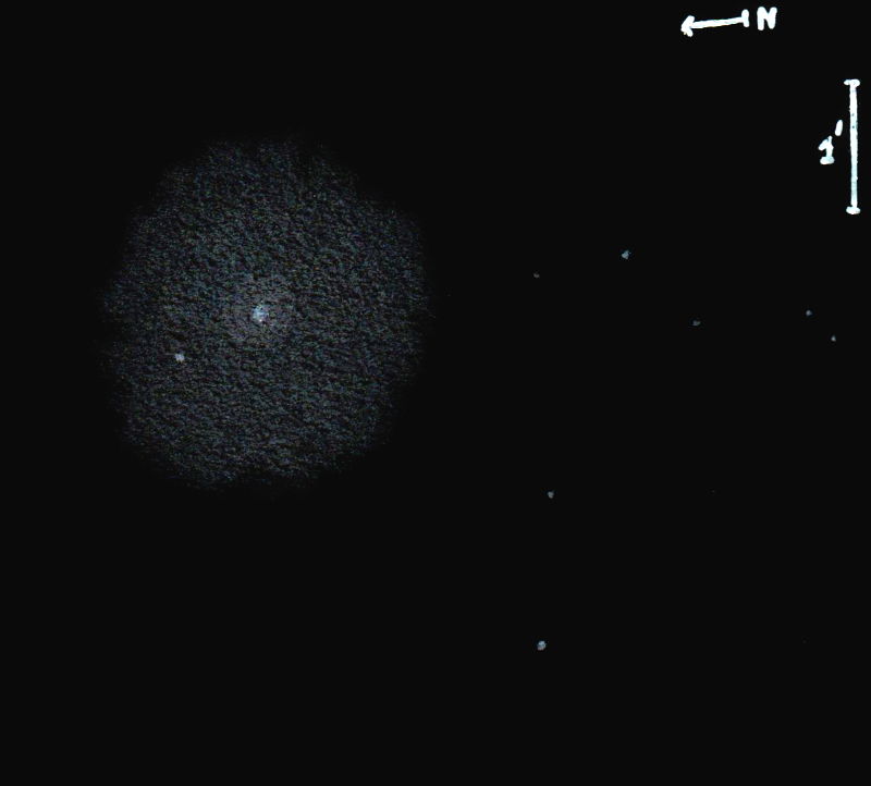 NGC7217obs10600.jpg